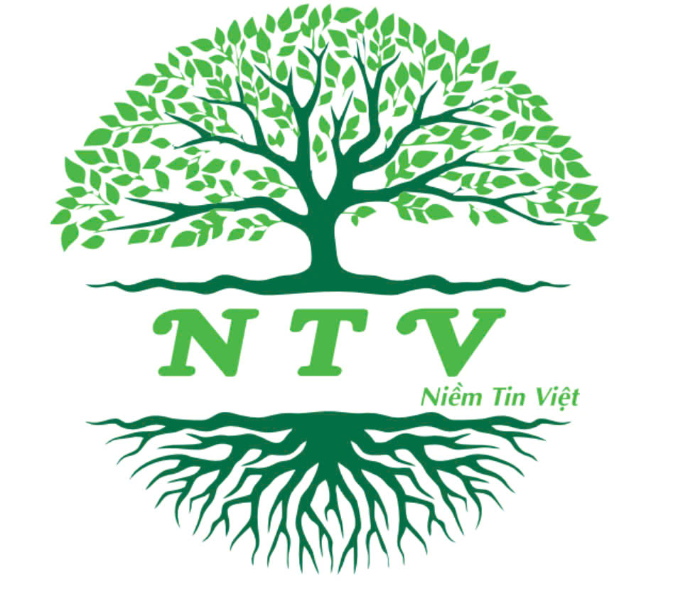 CÔNG TY TNHH NTV SÀI GÒN